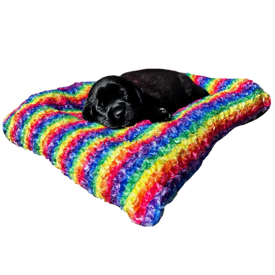 Black puppy resting on a rainbow Cloud Furvana rectangle bolster dog bed