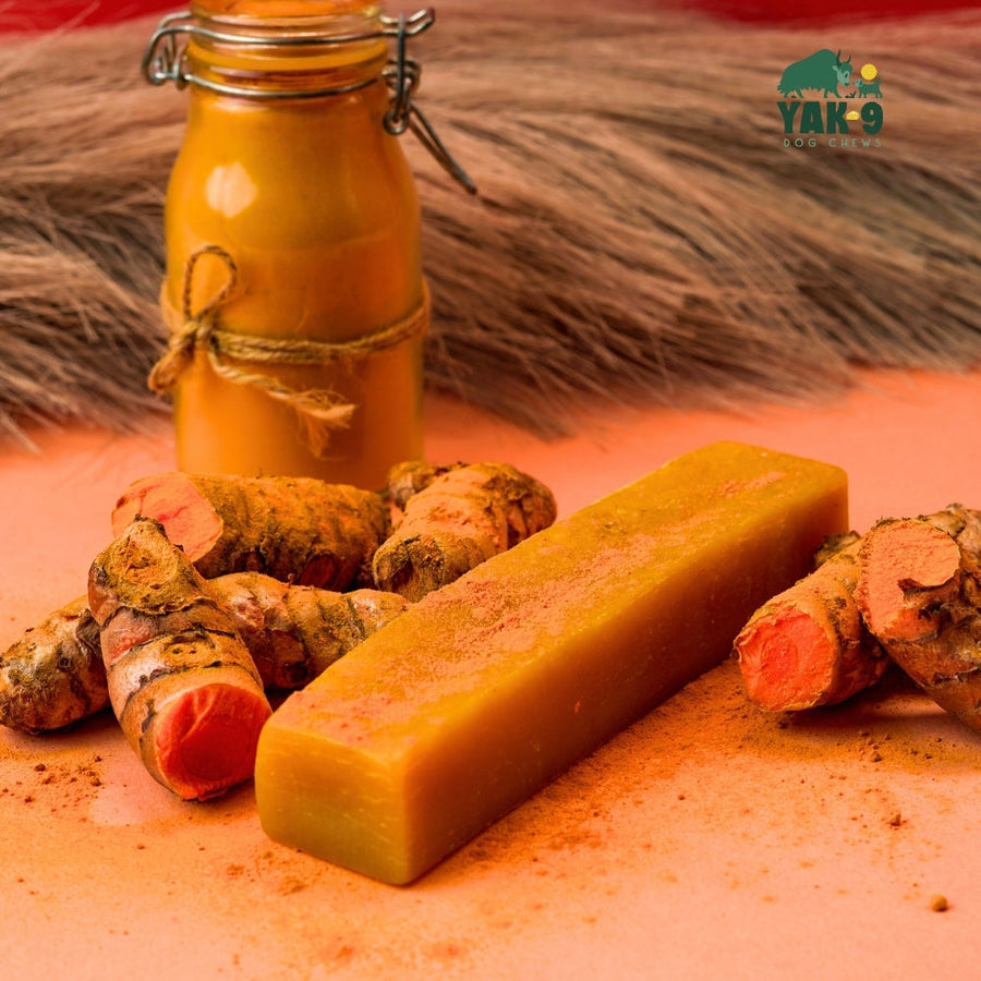 Turmeric Yak Milk Chews for Dogs