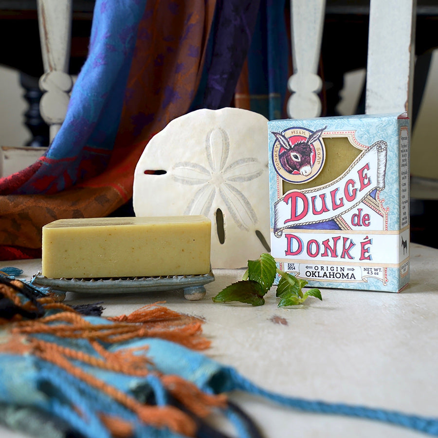Eucalyptus mint soap with its box, mint leaves, and decorative shell