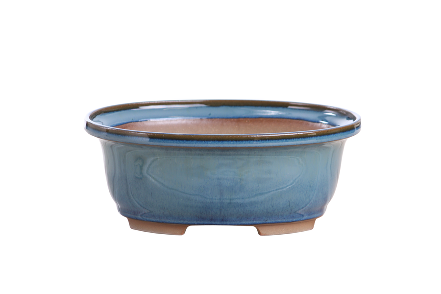 7.5-Inch Fat Oval Bonsai Pot - Peacock 2025