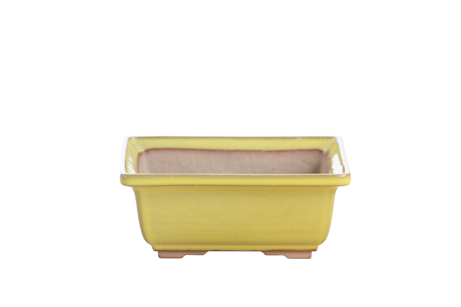 5.5-Inch Square Bonsai Pot - Yellow