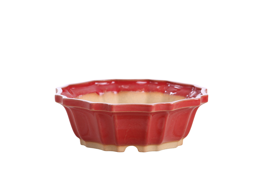 6.5-Inch Flower Bonsai Pot - Red