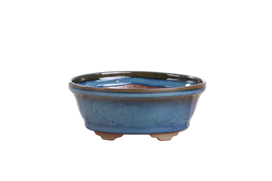 5-Inch Oval B Bonsai Pot - Peacock 2025