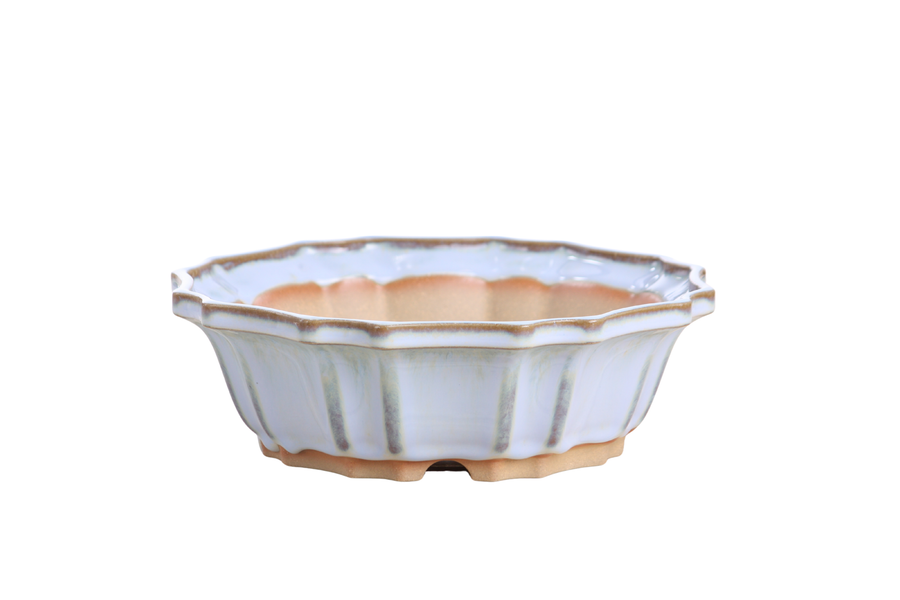 8-Inch Flower Bonsai Pot - Glacier