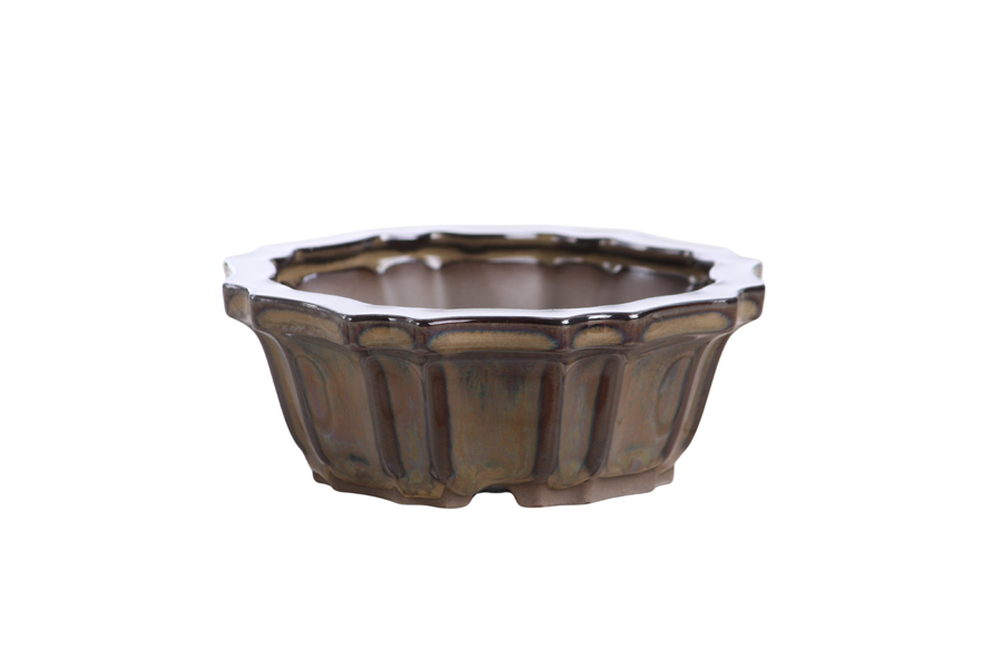5-Inch Flower Bonsai Pot - Dark Honey