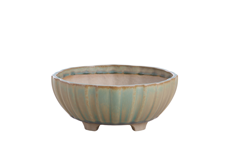6-Inch Lily Bonsai Pot - Speckled Moss