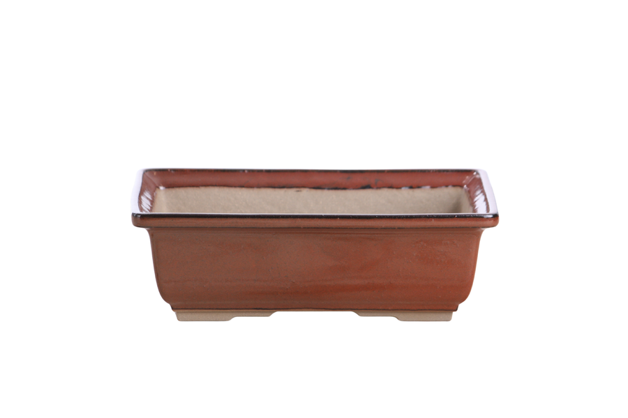 8-Inch Rectangle Bonsai Pot - Sunset