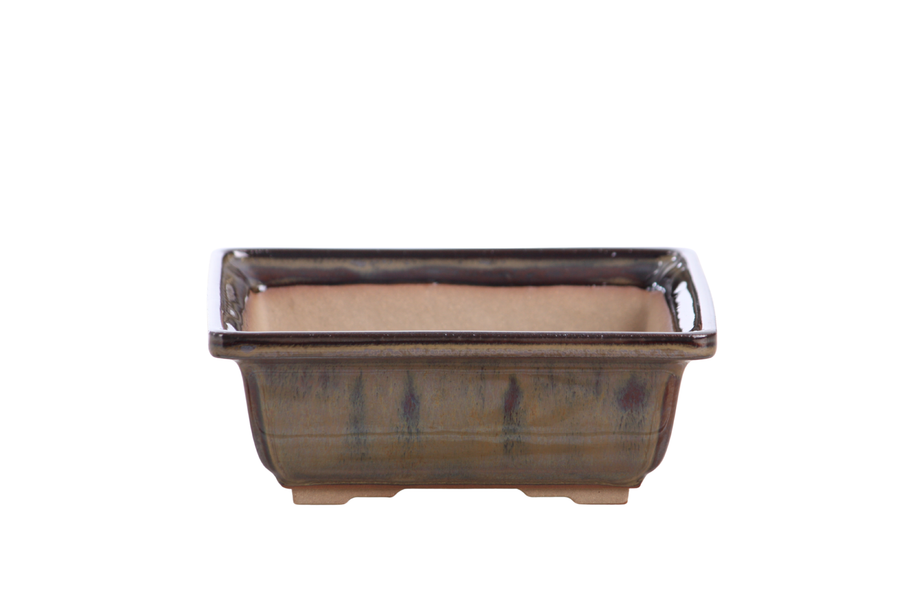 6-Inch Square Bonsai Pot - Dark Honey