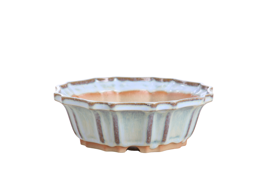 6.5-Inch Flower Bonsai Pot - Glacier