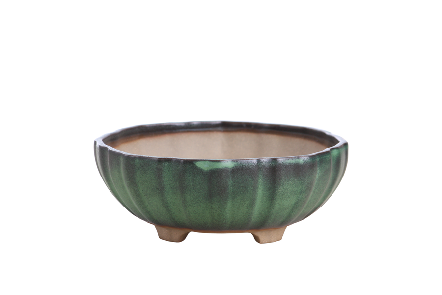 7-Inch Lily Bonsai Pot - Avocado