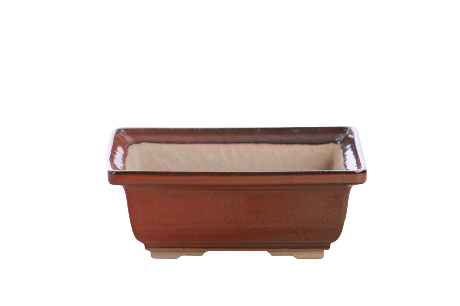 6-Inch Square Bonsai Pot - Sunset