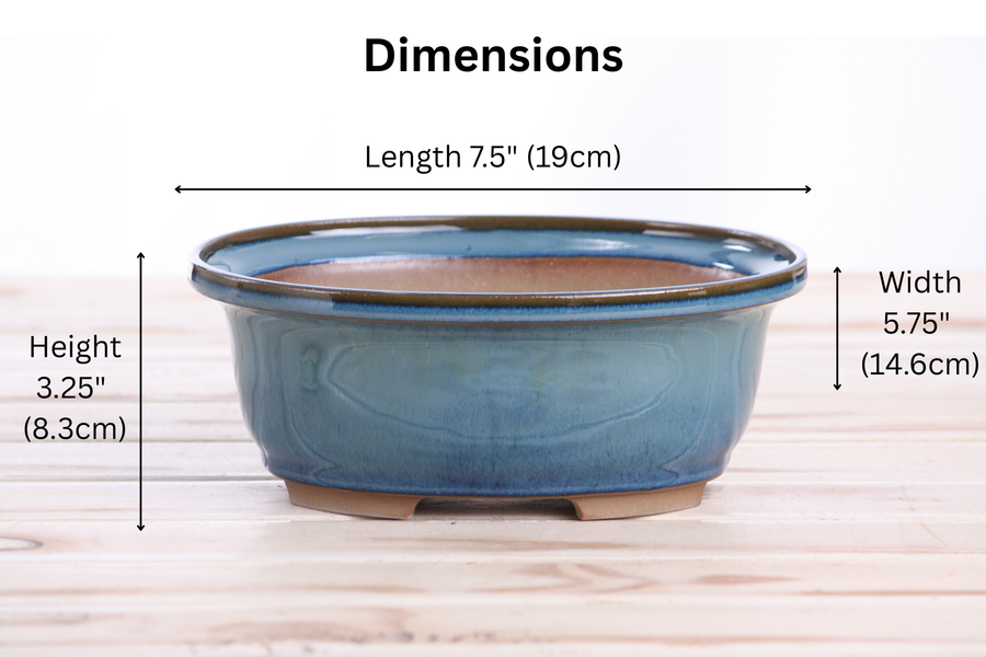 Dimensions of 7.5-Inch Fat Oval Bonsai Pot - Peacock 2025