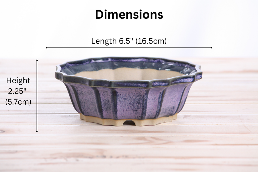 Dimensions of 6.5-Inch Flower Bonsai Pot - Purple