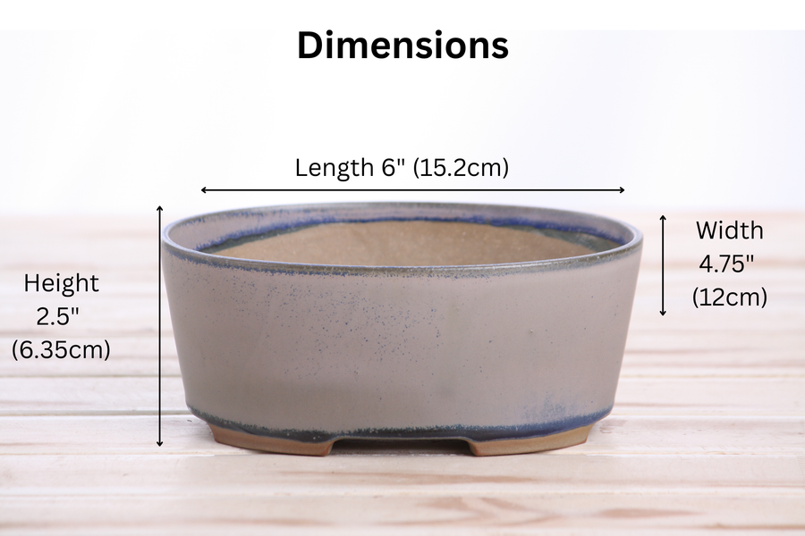 Dimensions of 6-Inch Oval A Bonsai Pot - Ocean