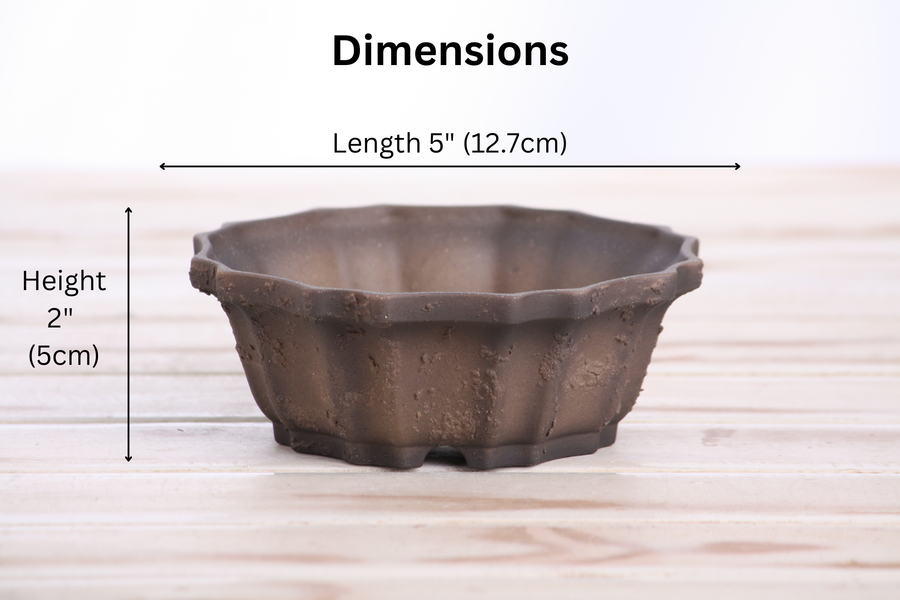 Dimensions of 5-Inch Flower Bonsai Pot - Textured Unglazed Limited Edition