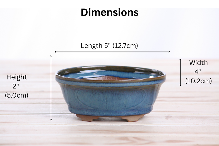Dimensions of 5-Inch Oval B Bonsai Pot - Peacock 2025