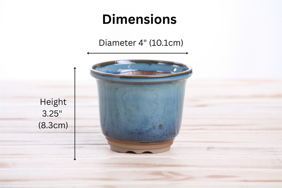 Dimensions of 4-Inch Flute Bonsai Pot - Peacock 2025