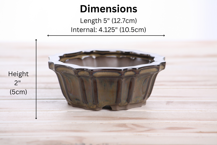 Dimensions of 5-Inch Flower Bonsai Pot - Dark Honey