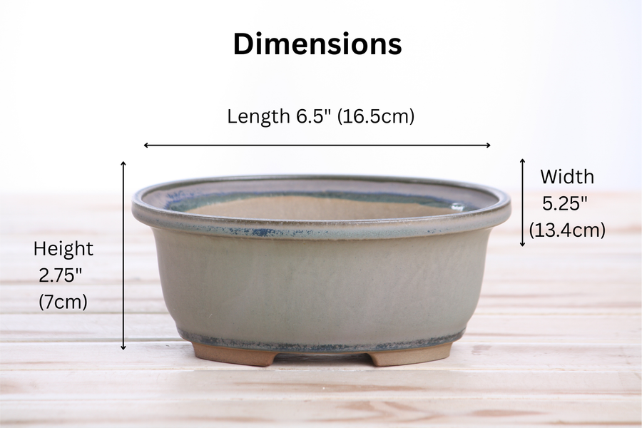 Dimensions of 6.5-Inch Fat Oval Bonsai Pot - Ocean