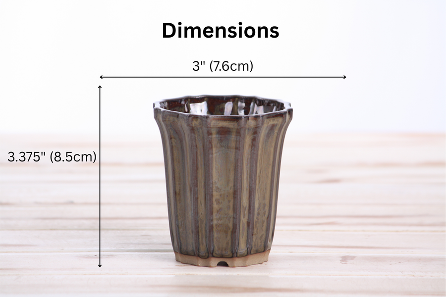 Dimensions of 3-Inch Flower Cascade Bonsai Pot - Dark Honey