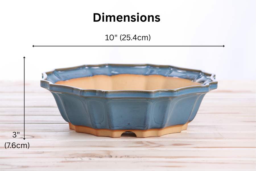 Dimensions of 10-Inch Flower Bonsai Pot - Peacock 2025