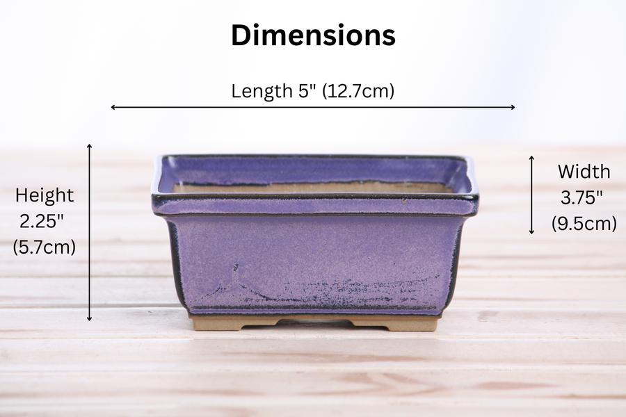 Dimensions of 5-Inch Rectangle Deep Bonsai Pot - Purple