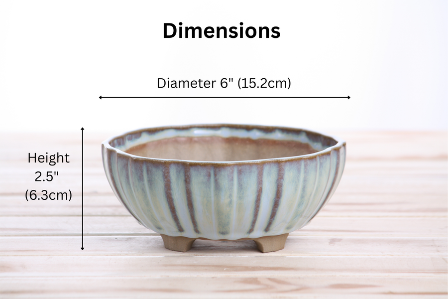 Dimensions of 6-Inch Lily Bonsai Pot - Glacier