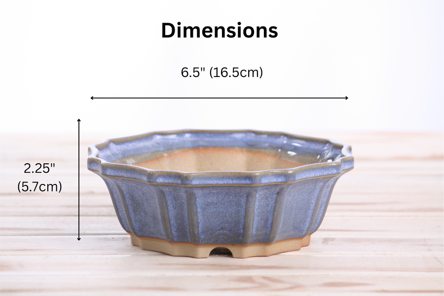 Dimensions of 6.5-Inch Flower Bonsai Pot - Denim