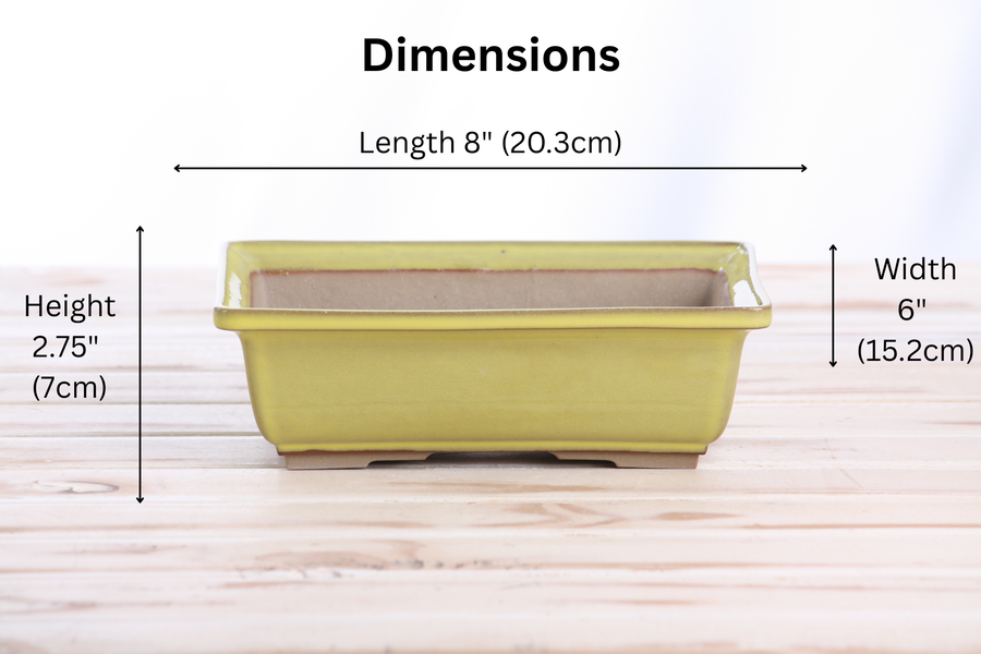 Dimensions of 8-Inch Rectangle Bonsai Pot - Yellow