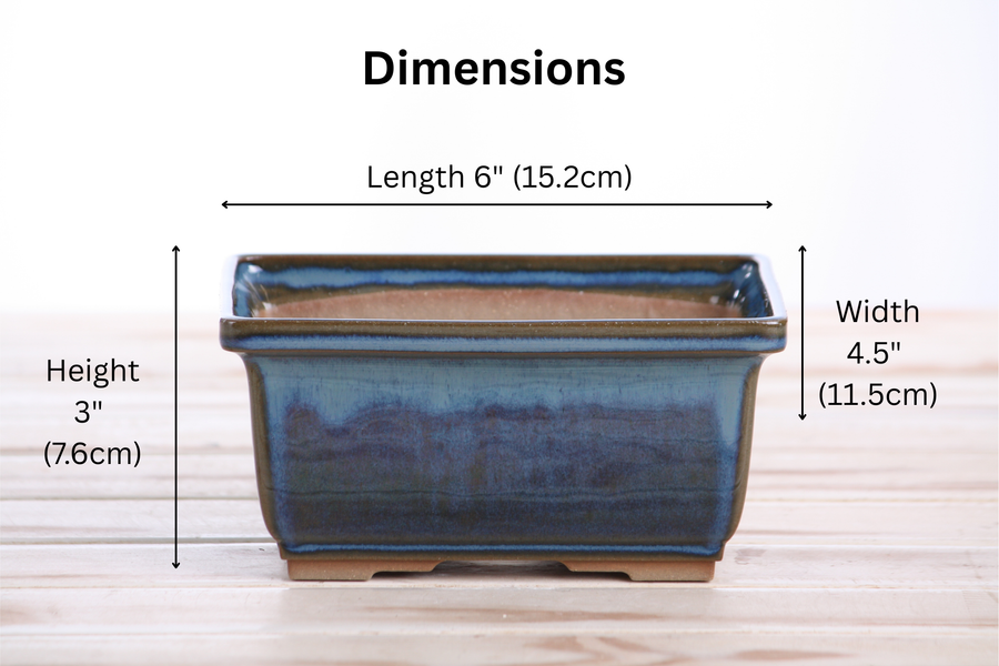 Dimensions of 6-Inch Rectangle Deep Bonsai Pot - Peacock 2025
