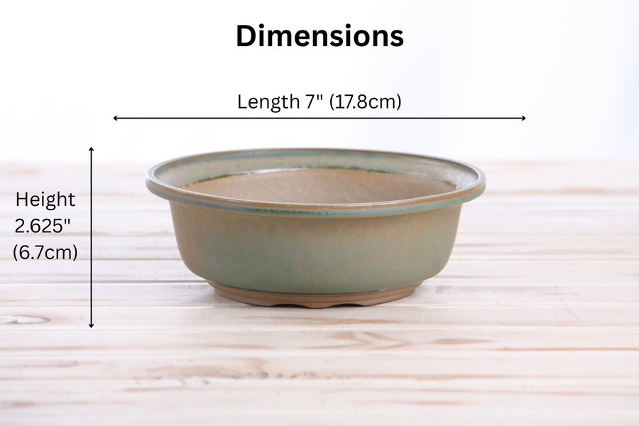 Dimensions of 7-Inch Round Bonsai Pot - Speckled Moss