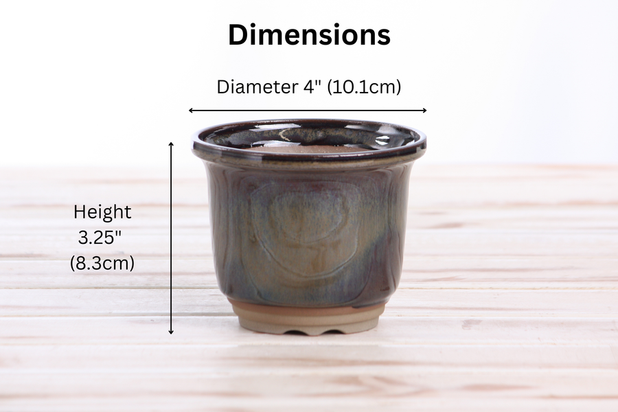 Dimensions of 4-Inch Flute Bonsai Pot - Dark Honey