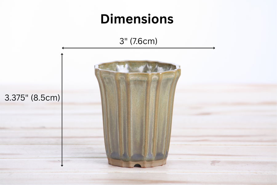 Dimensions of 3-Inch Flower Cascade Bonsai Pot - Copenhagen