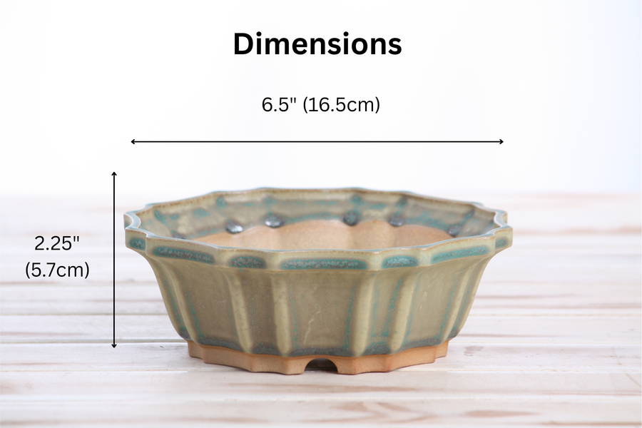 Dimensions of 6.5-Inch Flower Bonsai Pot - Speckled Moss