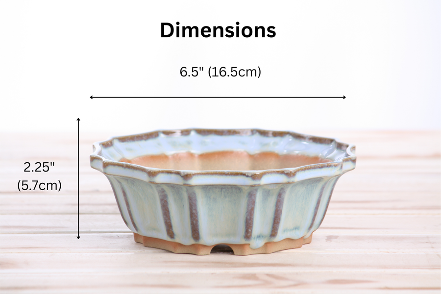 Dimensions of 6.5-Inch Flower Bonsai Pot - Glacier
