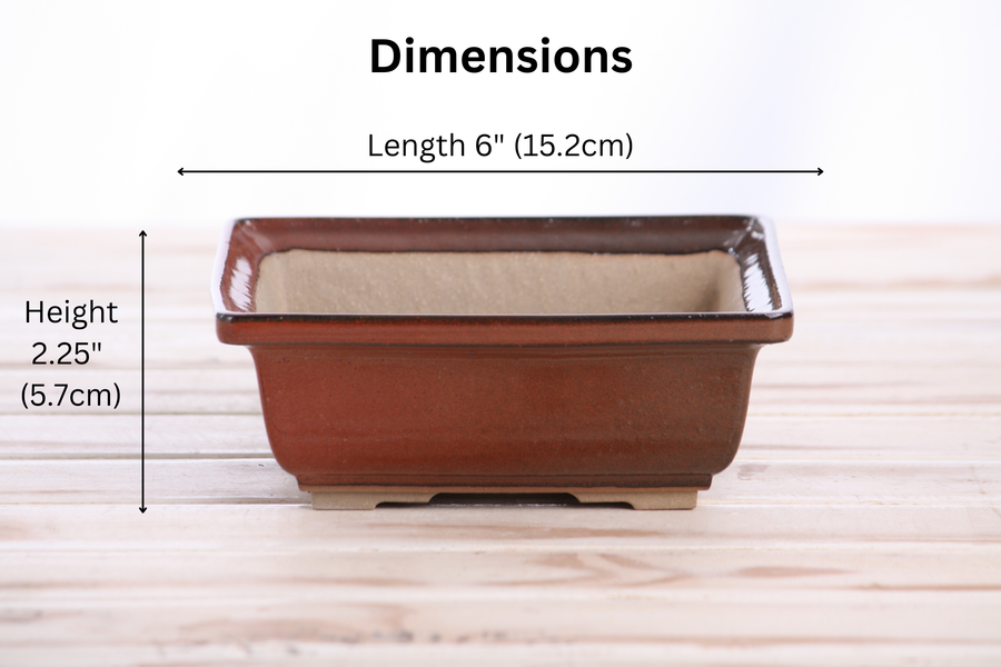 Dimensions of 6-Inch Square Bonsai Pot - Sunset