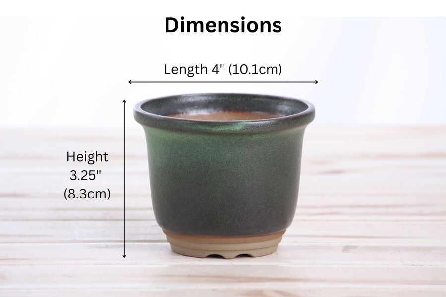 Dimensions of 4-Inch Flute Bonsai Pot - Avocado