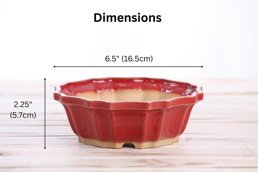 Dimensions of 6.5-Inch Flower Bonsai Pot - Red