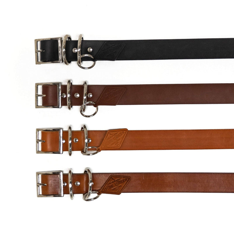 Leather Dog Collar - Classic - Lifetime Leather Co