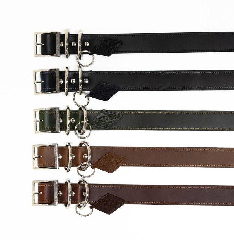 Leather Dog Collar - Designer - Lifetime Leather Co