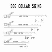 Leather Dog Collar - Classic - Lifetime Leather Co