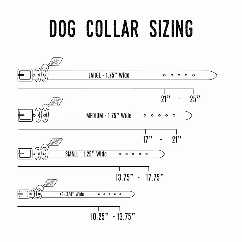 Leather Dog Collar - Designer - Lifetime Leather Co