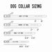 Leather Dog Collar - Designer - Lifetime Leather Co
