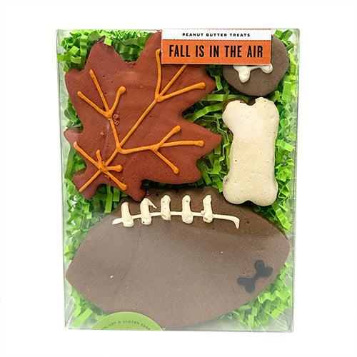 Fall is in the Air Box by Bubba Rose Biscuit Co.