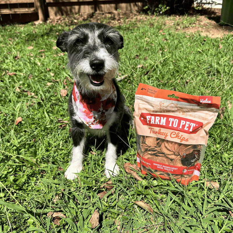 Turkey Chips for Dogs | All-Natural Single-Ingredient Healthy Dog Treats