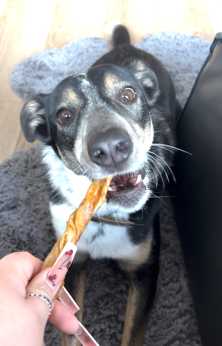 Pezzy Pets Fish Maw Chews Bag, Single Ingredient by Farm2Me