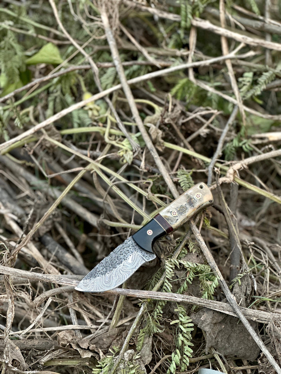 Hunting Knives for Sale – 9" Damascus Steel Blade with Sheep Horn/Resin Handle & Leather Sheath
