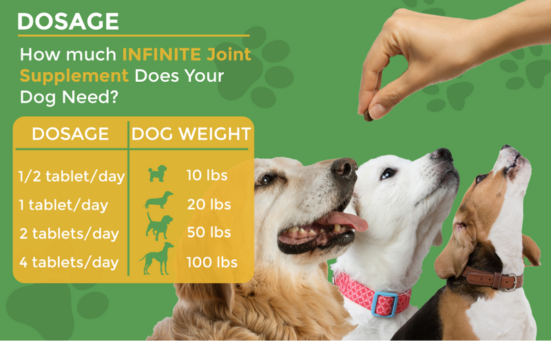 Hip & Joint Advanced Formula - 90 Mobility & Dog Joint Pain Relief Chews - Glucosamine, Chondroitin, MSM, & Turmeric for Superior Joint Health by Infinite Pet