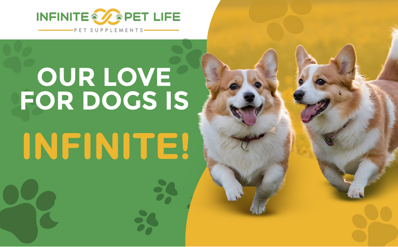 Hip & Joint Advanced Formula - 90 Mobility & Dog Joint Pain Relief Chews - Glucosamine, Chondroitin, MSM, & Turmeric for Superior Joint Health by Infinite Pet