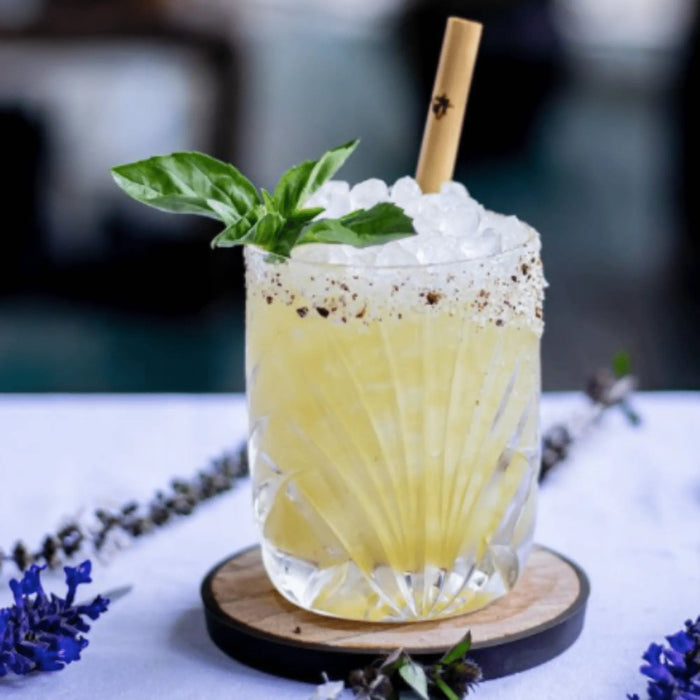 Holy City Straw Company Cocktail Reed Straw in Citrus Cocktail